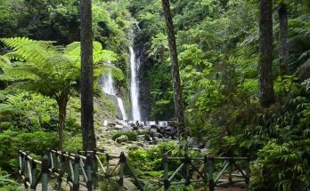 curug tujuh cilember - air terjun puncak